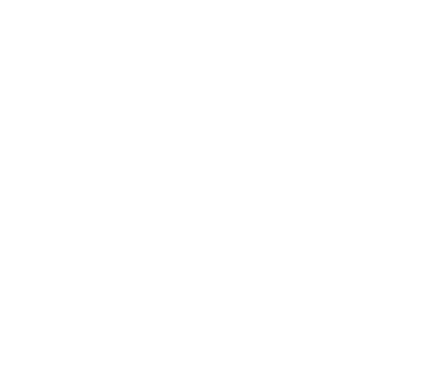 Logo 1 NS WHITE Trimmed